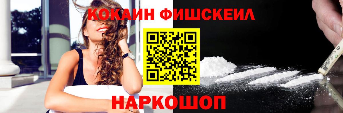 Сокол  Cocaine Fish Scale  где можно купить   Вход с VPN  COCAIN Columbia 